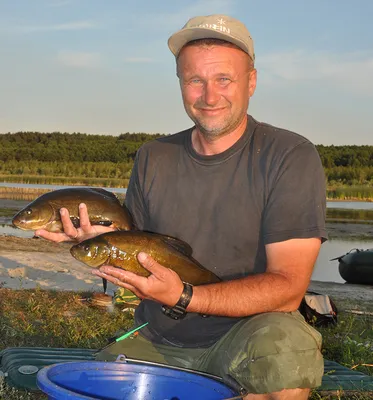 Линь - рыбалка в Ленинградской области места для ловли Все виды рыбы  способы и места ловли в водоемах Ленинградской области