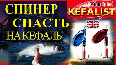 Рыба Черного моря, и с чем её едят - ЯПлакалъ