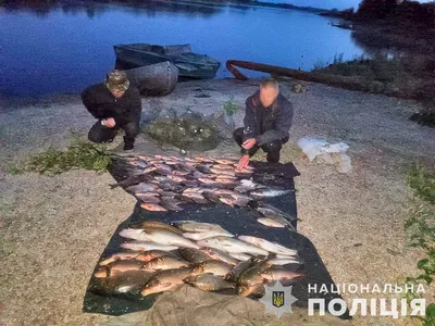 Рыбаки поймали гигантского палтуса в Мурманской области | Телекомпания ТВ21