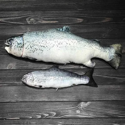 Польза кожи лосося | Блог | Империя суши
