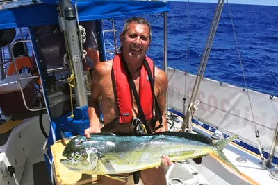 Дорадо, Махи-махи - GT offshore fishing charters LLC