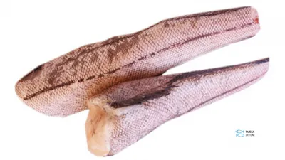 Торговый дом «ВКУС МОРЯ» - Мороженая рыба: Макрурус обезглавленный без  хвоста мороженый, 2,5 кг