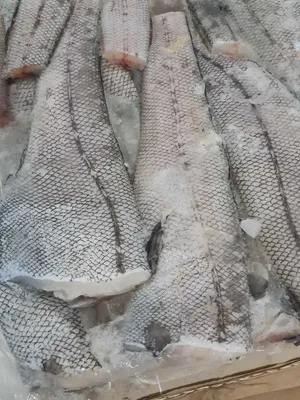 🐟 Купить макрурус гренадер в Краснодаре: цена рыбы за 1 кг от 655 руб —  Дикоед