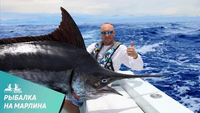 Трофейная рыбалка на марлина в Коста-Рике - YouTube