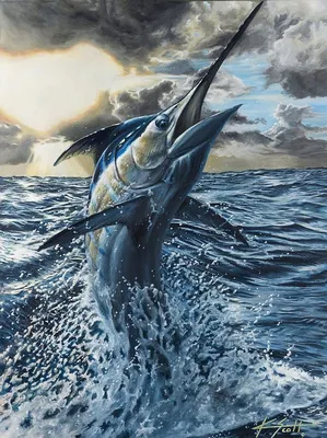 Марлин - меча-рыб, рыбы соленой воды Sailfish (Istiophorus) на небе B  Стоковое Изображение - изображение насчитывающей тварь, океан: 74330231