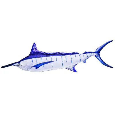 Марлин - меча-рыб, изолят Istiophorus рыб соленой воды Sailfish Стоковое  Изображение - изображение насчитывающей вода, изолировано: 121270493