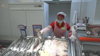 СМИ: Россия побьет 30-летний рекорд по вылову рыбы - Рамблер/финансы