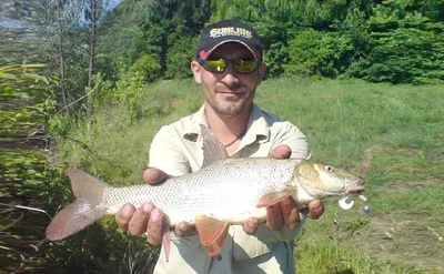 Рыба вяленая Pescatore Francesco Ставрида черноморская неразделанная -  «Отличное решение для любителей вяленой рыбы» | отзывы