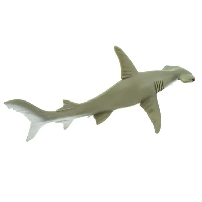 Гигантская акула молот - YouTube