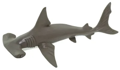 С анимацией Акула-молот 3D модель - Скачать Животные на 3DModels.org