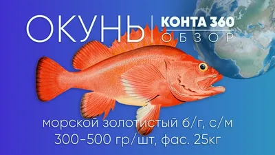 Окунь морской крупный, потрошенный безголовый (ПБГ), 7 кг - «Рыба.СПб.РУ» в  СПб