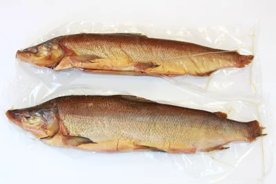 Рыба муксун — король среди рыбы в России и может быть приготовлен всеми  возможными способами: 📍Особым вкусом обладает муксун, засоленный… |  Instagram