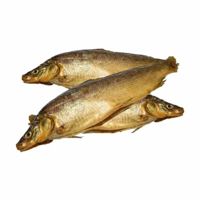 Рыба Муксун балык х/к вес - купить с доставкой | Интернет-магазин Добрянка