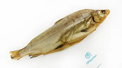 Муксун потрошеный без головы » Свежемороженая » По приготовлению » Рыба  Якутии