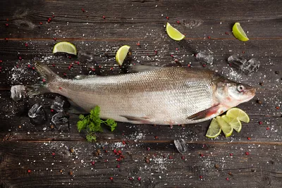 Рыба муксун: где обитает, основные полезные свойства | Рыбалка Лучший отдых  | Дзен