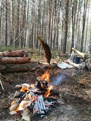 Жареная рыба со специями в огне Стоковое Изображение - изображение  насчитывающей конец, ожог: 159902623