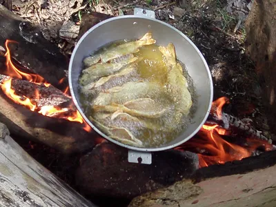 Морской окунь на мангале - пошаговый рецепт с фото на Повар.ру