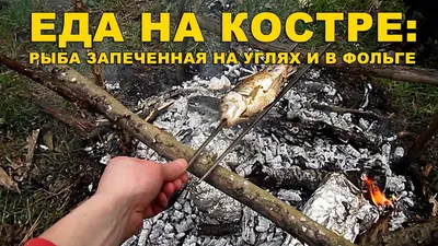 Что приготовить на костре кроме шашлыка на природе