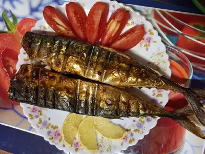 Байкальский вариант блюда \"Рыба на рожне\" - омуль | Пикабу