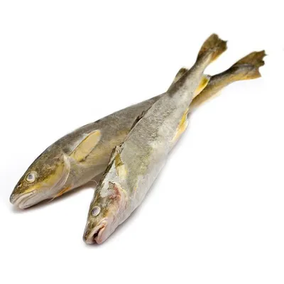 Рыба Навага свежемороженая | отзывы