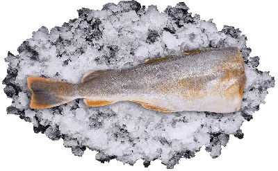 Стоит копейки, а по вкусу не хуже, чем треска и ледяная рыба! | 7 причин,  за что любят навагу и что с ней готовить? | Икорный | Дзен