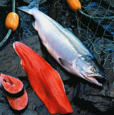 Какая рыба лучше кета или нерка? - Frost-Fish