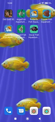 Live 5 pack Mixed Oscar Cichlids for fish tank or aquarium | eBay