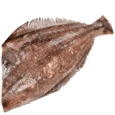 Рыба Палтус холодного копчения - купить рыбу в магазине светофор