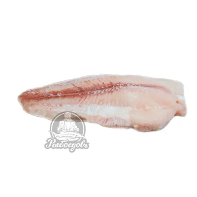 Пангасиус — не ешьте эту рыбу ! 9785 / Флудилка 9785 / Бусинка