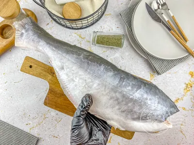 Что за рыба Пангасиус? | Шустрик на кухне | Дзен