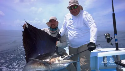 Мандариновый КРАБ Тольятти - #Краб_NEWS 🦀🗞 ⛵️ Рыба-Парусник Нам сообщили  свежие вести с берегов Шри-Ланки 🏝 — срочно делимся ими с вами! На данный  момент идёт сложнейшая охота на самую быструю Рыбу-Парусник