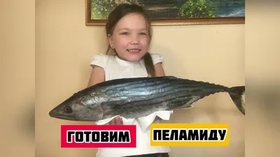 Рыба пеламида! Способ приготовления вкусной рыбы! #рецепты #пеламида #рыба  - YouTube