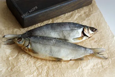 Торговый дом «ВКУС МОРЯ» - Вяленая рыба: Пелядь (сырок) неразделанная  вяленая, 350 г
