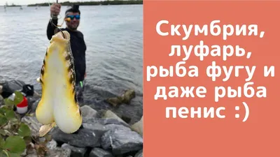 Сосисочные берега Приморского Края | fishcom.online
