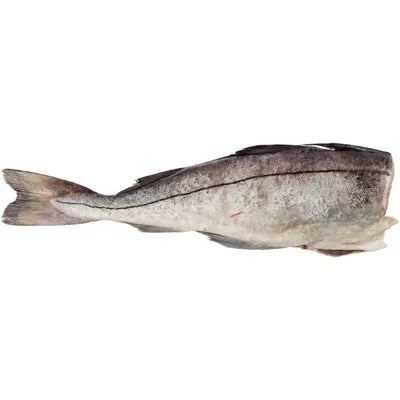 Пикша Филе - Пан Рыбар. Самая вкусная рыба в Измаиле!