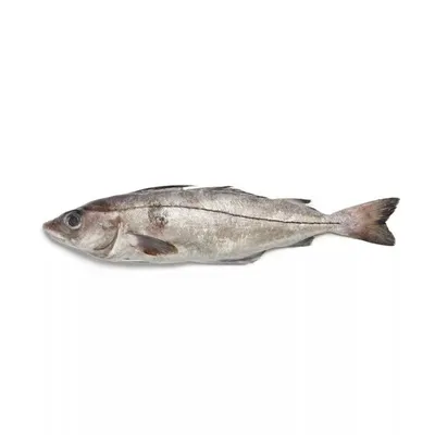 Пикша без головы сухой заморозки 1 кг - \"По-Рыбке\" - интернет-магазин  морепродуктов, рыбной и снековой продукции. - По-Рыбке