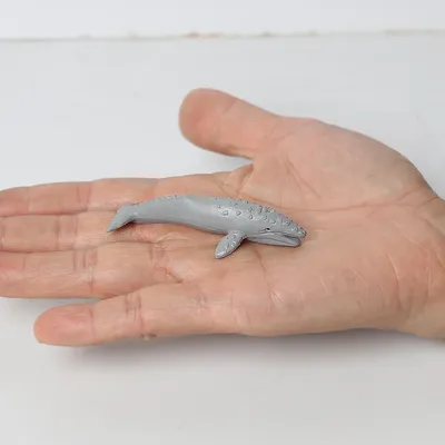 Рыба-пила 3D модель - Скачать Животные на 3DModels.org