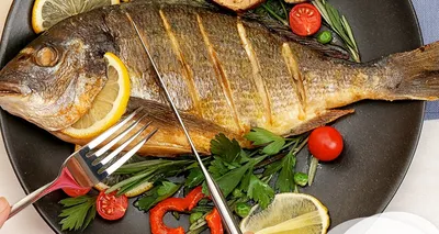 Вкусные и полезные сорта рыбы как важная часть ежедневного рациона питания