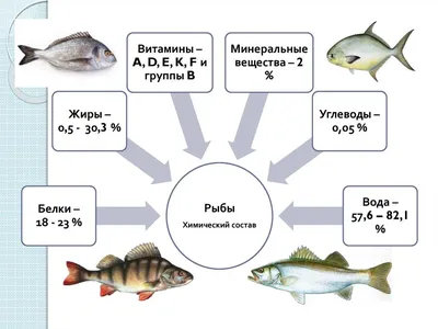 Рыба в питании человека - Школа Кроха