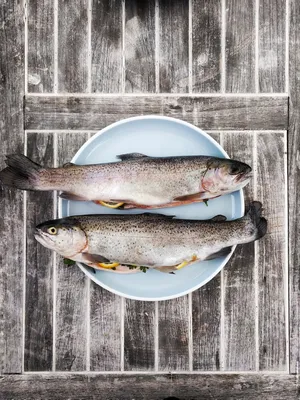Здоровое питание: рыба и морепродукты | Блог justfood