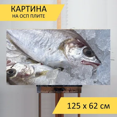 Рыба: названы вредные виды, которые лучше исключить из рациона питания -  Today.ua