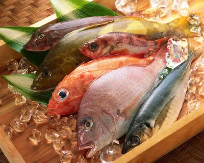 Картинка Лед Рыба Продукты питания