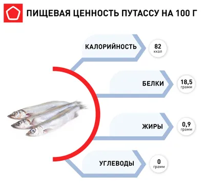 Купить Путассу мороженное в Минске, Гомеле