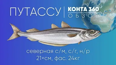 Путассу купить в Екатеринбурге цена от 117 рублей