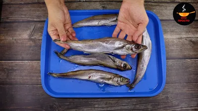 Рыба путассу, приготовленная в двойной шубке и другие рецепты из этой рыбы  | Праздник живота от пенсионерки | Дзен