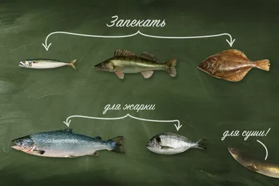 Речная рыба: чем можно заразиться и как себя защитить — Секрет фирмы