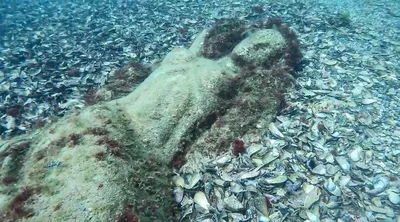 мультяшная русалка сидящая в океане плавающая между кораллами и рыбой,  картинка русалки, Русалочка, мультфильм фон картинки и Фото для бесплатной  загрузки