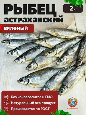 Свежая рыба рыбец: 200 тг. - Продукты питания / напитки Атырау на Olx