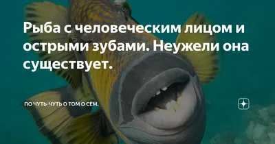 В соцсетях опубликовано видео рыбы с \"человеческим лицом\" - Российская  газета