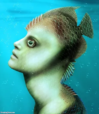 Максим Галкин нашел рыбу с человеческим лицом, в которой узнали Путина -  видео